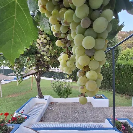 Апартаменты Casa De Flores