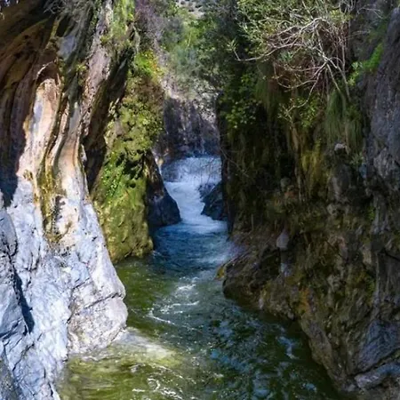 Casa De Flores Lejlighed *